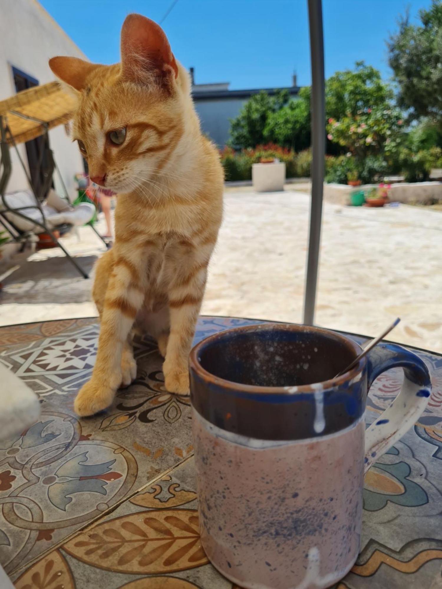 마르티나프란카 Casa 44Gatti 아파트 외부 사진
