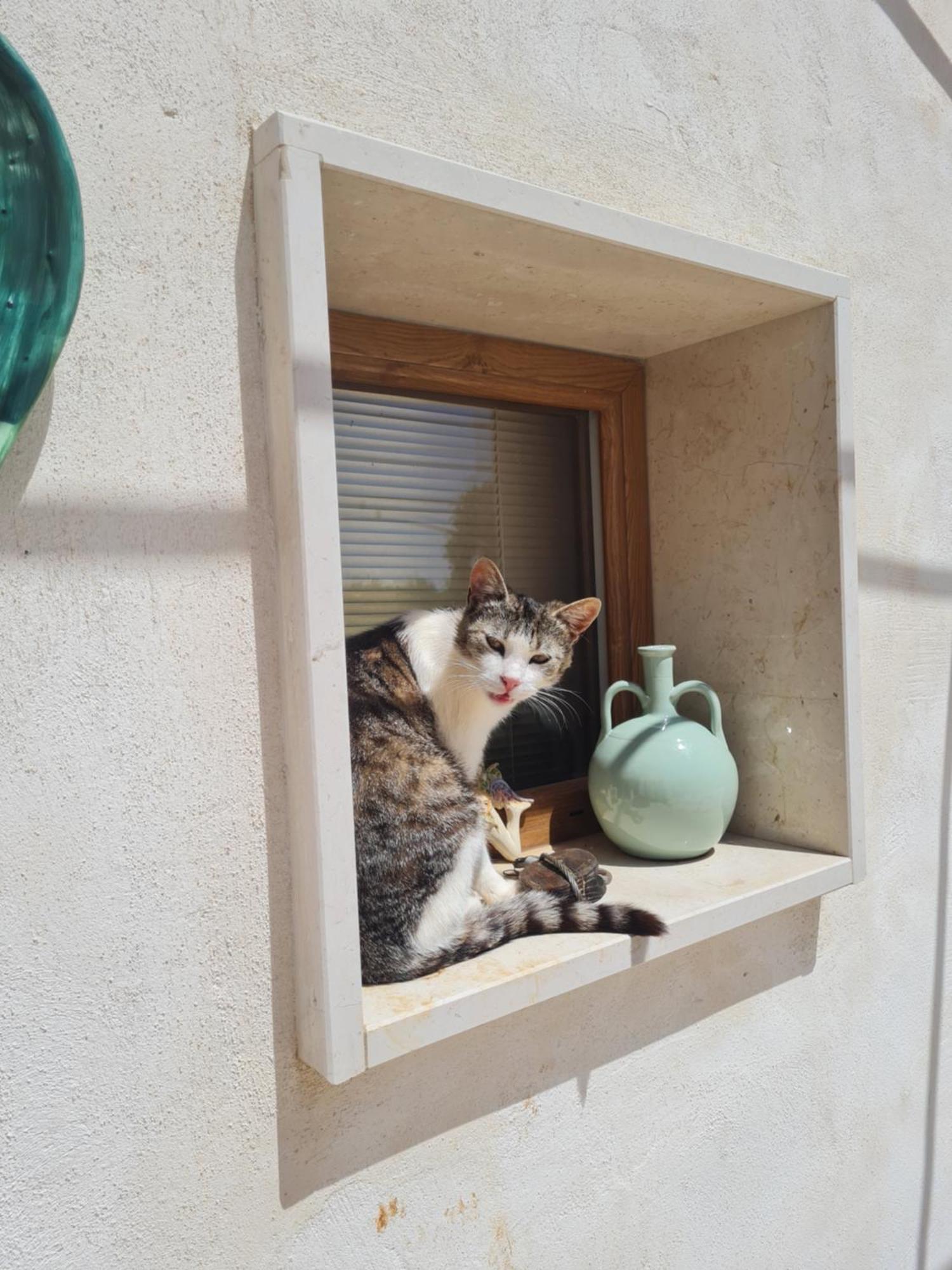 마르티나프란카 Casa 44Gatti 아파트 외부 사진